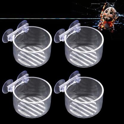 4 Pcs Jumping Spider Feeding Dish Water Bowl with Suction Cup for Jumping Spider Tarantula Millipede Small Reptiles