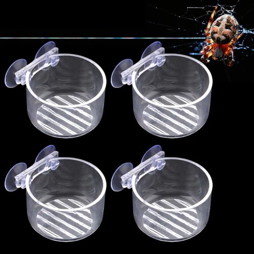 4 Pcs Jumping Spider Feeding Dish Water Bowl with Suction Cup for Jumping Spider Tarantula Millipede Small Reptiles