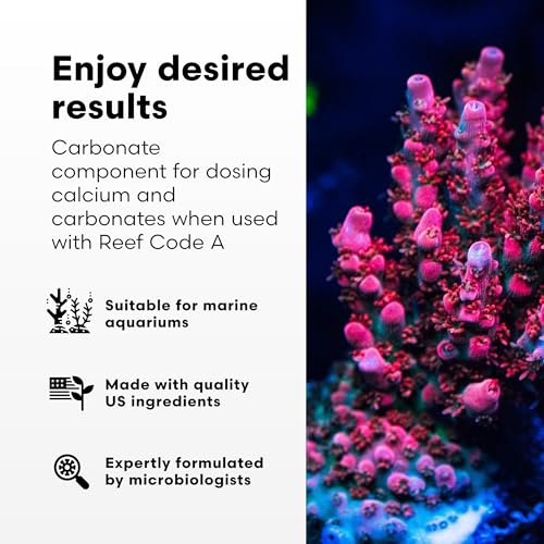 Brightwell Aquatics - Reef Code B - Balanced Calcium & Alkalinity System Water Conditioner - For All Saltwater Marine Fish & Reef Fish Tanks - Aquarium Water Treatments, 8.45 fl oz - size: 250-ml