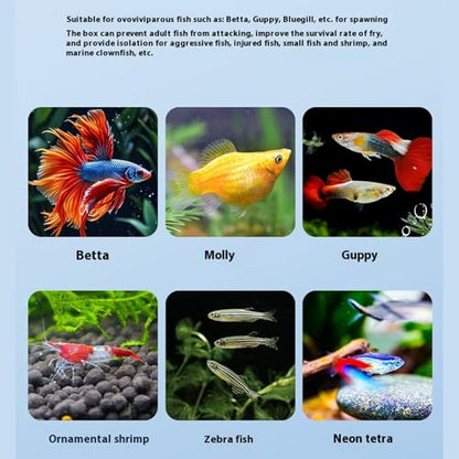 Floating Fish Breeding Box Net Design Safe Fish Habitat Isolation Tanks for Fry Shrimp Easy Setups Compacts - color: Blue, size: L