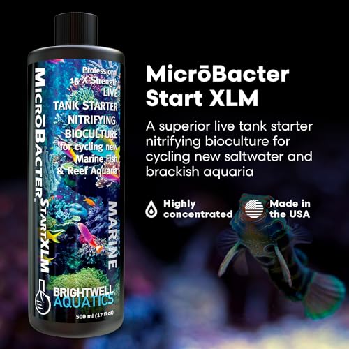 Brightwell Aquatics MicroBacter Start XLM - Concentrated Freshwater Nitrifying Bacteria - Quick Start Fish Tank Starter, Lift Microbe Levels & Water Filtering - Aquarium Water Treatments, 16.9 fl oz - size: 500-ML