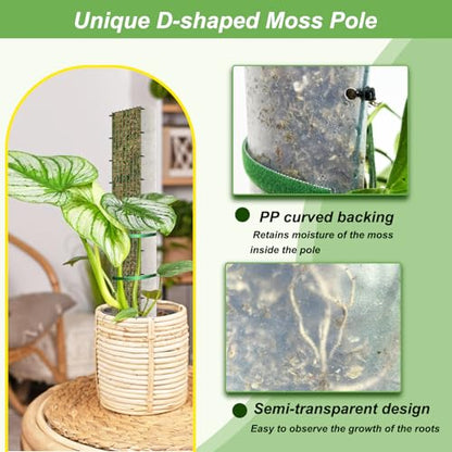 60"/40"/24" Metal Moss Pole, D Shape Sphagnum Moss Pole, Moss Poles for Climbing Plants, Monstera, Indoor Climbing Plants (6Pcs 24") - style: 6Pcs 24"