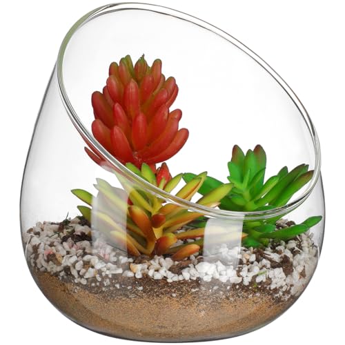 Milisten Clear Glass Terrarium Jar Micro Landscape Ecological Bottle for Moss Succulent Decor and Air Plants Thickened Transparent Vase for Home Store Bedroom Indoor Outdoor Display 4.72In