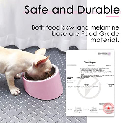 SUPERDESIGN Anti-Vomiting 15° Slanted Pet Bowl, S/0.5 Cup, Pink | 15° Tilted, Anti-Vomit & Neck Relief, Non-Slip Base, Detachable Stainless Steel Liner, Dishwasher Safe, for Cats & Dogs - color: Pink, size: S/0.5 Cup