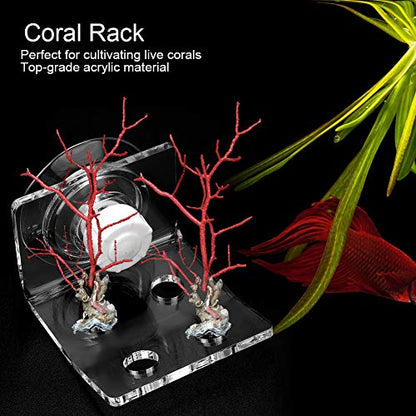 Acrylic Rack Bracket, Aquarium Frag Holder with Strong Suction Cup, Transparent Support Stand for Fish Tank, Reef Tank Organizer with Durable Weather Resist (4 Section) - size: 4 Section