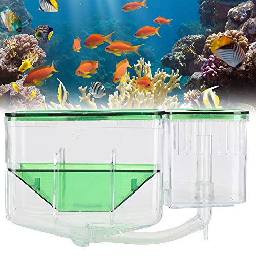 Fish Breeding Box, Transparent Aquarium Little Fish Breeding Hatching Box, Fish Tanks Double Layer Isolation Box Hatchery Incubator for Injured Small Fish Shrimp
