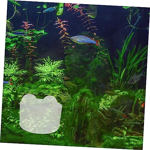 BESPORTBLE 4pcs Acrylic Feeding Cups for Aquariums Transparent Shrimp Feeder Dishes with Suction Cup Design Easy to Install Promotes Healthy Eating for Fish and Shrimp