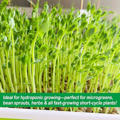Microgreen Growing Trays Mat, 10" x 100", Jute Fiber, 1 Roll | Natural Fiber Grow Kit, For Germination Tray, For Sprout Wheatgrass, For Bean Sprouts, Hydroponic Seed Growing - size: 10" X 100"