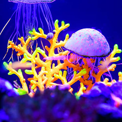 VOCOSTE Soft Silicone Glowing Aquatic Artificial Seaweed, Fluorescence Aquarium Kelp for Fish Tank Decoration, Blue