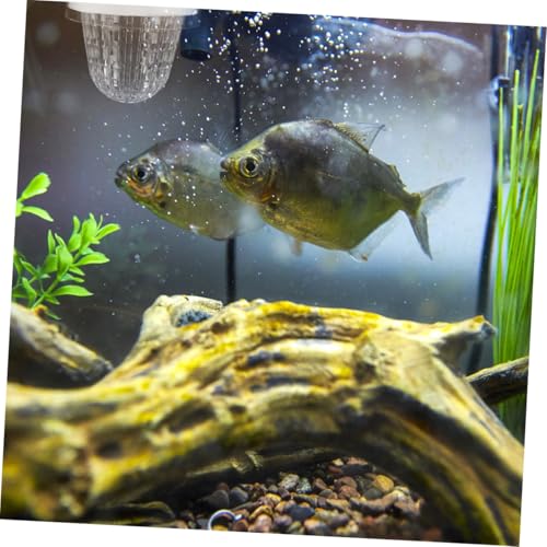 2pcs Fish Breeding Box Floating Hatchery Incubator for Guppies Efficient Isolation for Fry and Mother Fish Versatile Aquarium Setup