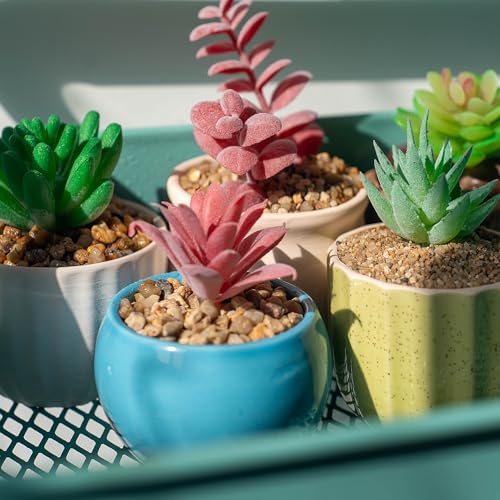 5 lbs Aquarium Gravel, 2-4mm Fish Tank Gravel, Succulent Cactus Pea Gravel for Indoor Plants, River Rocks for Gardening, Flower Pots, Vase Fillers, Garden Landscaping - size: 2-4mm