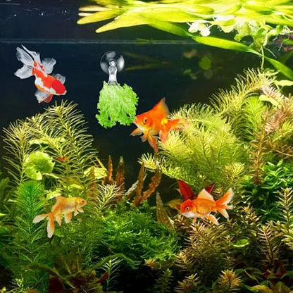 AccEncyc 12Pcs Veggie Clips Aquarium Seaweed Clips Fish Food Holder Wide Mouth Clips Plants Suction Cups Algae Clips for Freshwater and Marine Fish Tank (Plastic) - size: Plastic