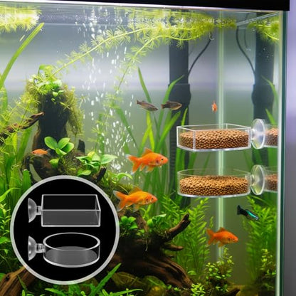 2Pcs Shrimp Feeding Dish, Aquarium Feeding Dish with Suction Cup Acrylic Fish Food Feeder for Freshwater and Saltwater Tanks Round and Square