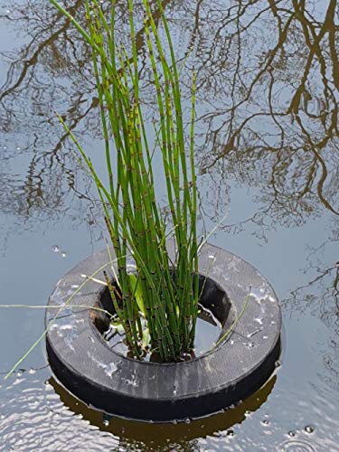 PondH2o Floating Aquatic Pond Planter Basket, 10 Inch (26cm) Round | Ponds and Water Features