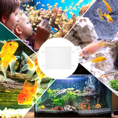 Hemoton Fish Tank Divider Acrylic Isolation Board with Suction Cups 35x30cm Aquarium Partition for Fish Shrimp Separation