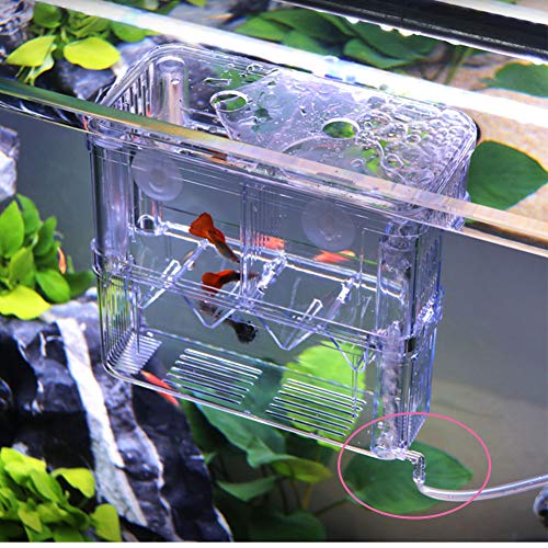 Acrylic Floating Fish Hatchery, Double Layer Fry Hatching Incubator Breeder Box for Aquarium Tank, Safe House for Fish Parenting