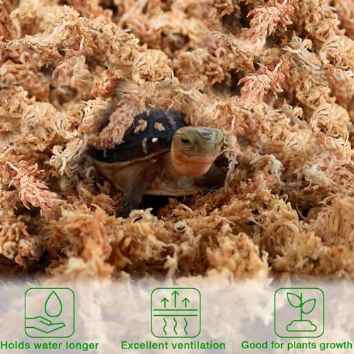 Halatool 3.6 OZ Sphagnum Moss for Plants, 4 QT Long Fiber Dried Orchid Moss | Drainage & Moisture Retention, Natural Moss for Ferns, Succulents, Carnivorous, Orchid Repotting, Terrariums, Reptile Bedding - size: 4 qt (0.2 lbs)