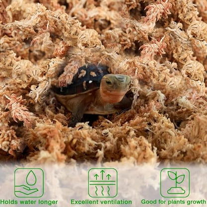 Halatool 10 OZ Sphagnum Moss for Plants, 14 QT Long Fiber Dried Orchid Moss | Drainage & Moisture Retention, Natural Moss for Ferns, Succulents, Carnivorous, Orchid Repotting, Terrariums, Reptile Bedding - size: 14 qt (0.6 lbs)