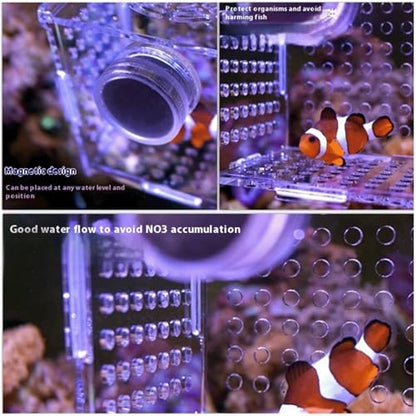 Acrylic Fish Breeding Box, Magnetic Fish Isolation Box Fish Separator for Aquarium Hatchery Incubator Tank for Baby Fishes Shrimp Clownfish Guppy (Medium, Normal Magnetic Model) - size: Medium, Normal magnetic model