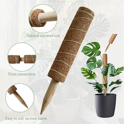 Moss Pole for Plants 4 Pack Natural Coco Coir Climbing Support Stakes with Plant Ties Indoor Monstera Plant Training Extension Poles 14.8inch Each Total 59.2inch - size: 38cm