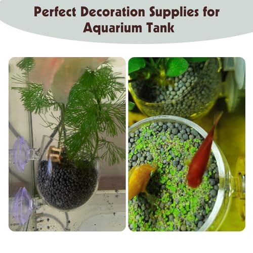 Tfwadmx 6 Pieces Aquarium Plant Holder Pot Aquarium Decor Crystal Glass Aquatic Plant Cup with Suction Cups Aquarium Fish Tank Decorations