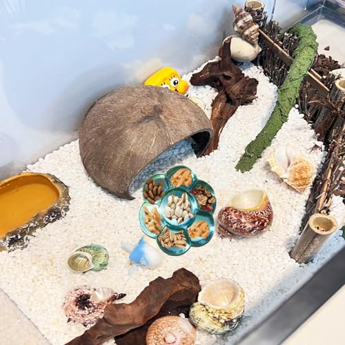 2 Pcs Hermit Crab Food Dish & Feeding Water Bowl,Hermit Crab Tank Accessories