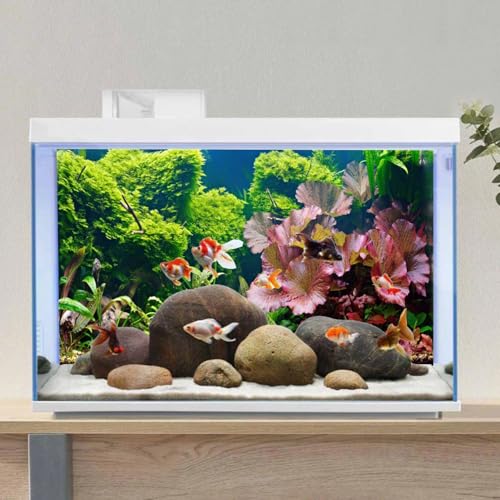AWERT 48x24 inches Aquatic Plant Aquarium Background River Bed & Lake Fish Tank Background Vinyl - size: 48x24in/120x60cm