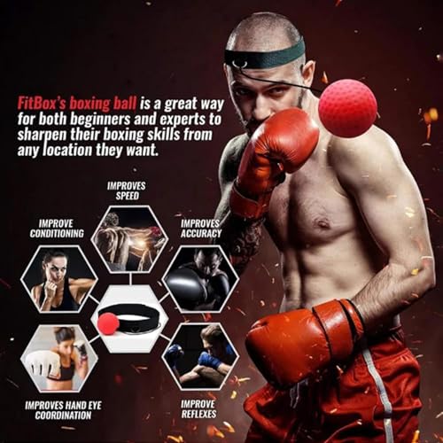 Boxer Reflex Ball Reaction Speed Training | Training Indoor Fitness Supplies for Living Room, Bedroom, Courtyard, Gym