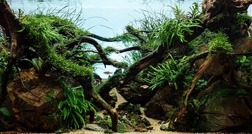 36x18 inches Aquarium Fabric Background Grass Leaves with Stone Aquarium Backdrop River Bed & Lake Aquatic Plant Fish Tank Aquatic Plants Background - size: 36X18inch