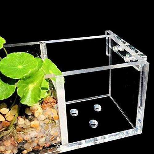DENESTUS Fish Tank Filter Box 5 or 6 Grids External Hang On Filter Box Acrylic Aquarium Tools(6 Grids)