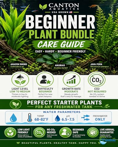 Assorted Mixed Plant Bundle | Live Aquarium Plant, Freshwater, Low | Medium | High Light