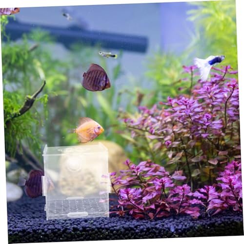 VICASKY Acrylic Fish Breeding Box Isolation Tank for Small Fish and Shrimp Aquarium Hatchery Incubator Cups Compact and Versatile Divider for Optimal Breeding Environment