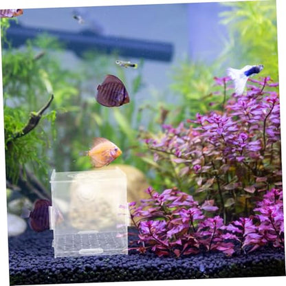 VICASKY Acrylic Fish Breeding Box Isolation Tank for Small Fish and Shrimp Aquarium Hatchery Incubator Cups Compact and Versatile Divider for Optimal Breeding Environment