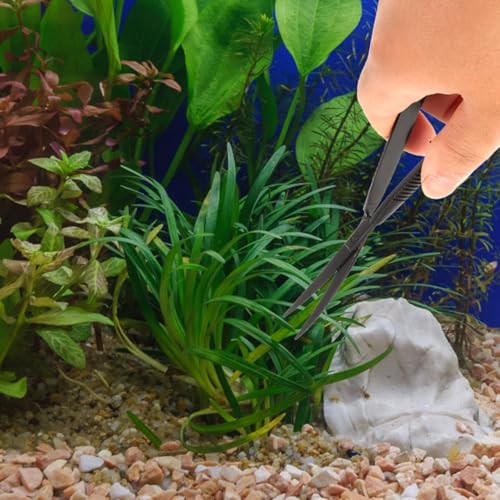 POPETPOP Aquarium Scissors for Plants Water Grass Trimmer Professional Fish Tank Scissor Curved Spring Action Tool for Aquascaping Small Thin Aquatic Plant Trimming 6.10 Inch