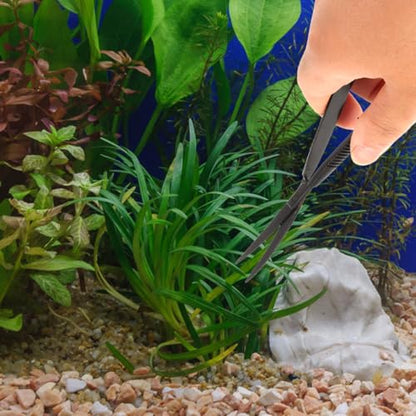POPETPOP Aquarium Scissors for Plants Water Grass Trimmer Professional Fish Tank Scissor Curved Spring Action Tool for Aquascaping Small Thin Aquatic Plant Trimming 6.10 Inch