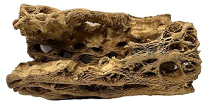 Natural Cholla Wood Chunk Large Air Plant Display Holders Individually Unique Decorative Stands or Holder (Cholla Chunk Large) - style: Cholla Chunk Large