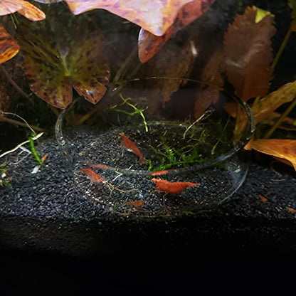 1PCS Aquarium Shrimp Feeding Dish, Glass Round Fish Feeder Bowl Reptiles Water Food Dish Clear Dishes Tray, 60mm - size: Round Bowl: 60MM