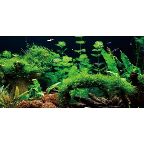 AWERT 30x12 inches River Bed & Lake Fish Tank Background Seagrass Aquarium Background Aquarium Background Vinyl Background - size: 30x12in/75x30cm