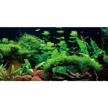 AWERT 30x18 inches River Bed & Lake Fish Tank Background Seagrass Aquarium Background Aquarium Background Vinyl Background - size: 30x18in/75x45cm