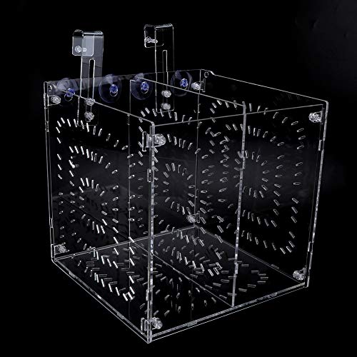 Acrylic Fish Breeding Box 20x20x20cm Mesh Rearing Trap for Baby Shrimp Clownfish Guppy, Isolation Board Prevents Adult Attack, Adjustable Suction Cup Fixation for Aquarium Hatchery (20MC - size: 20MC *20CM*20CM