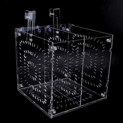 Acrylic Fish Breeding Box 20x20x20cm Mesh Rearing Trap for Baby Shrimp Clownfish Guppy, Isolation Board Prevents Adult Attack, Adjustable Suction Cup Fixation for Aquarium Hatchery (20MC - size: 20MC *20CM*20CM