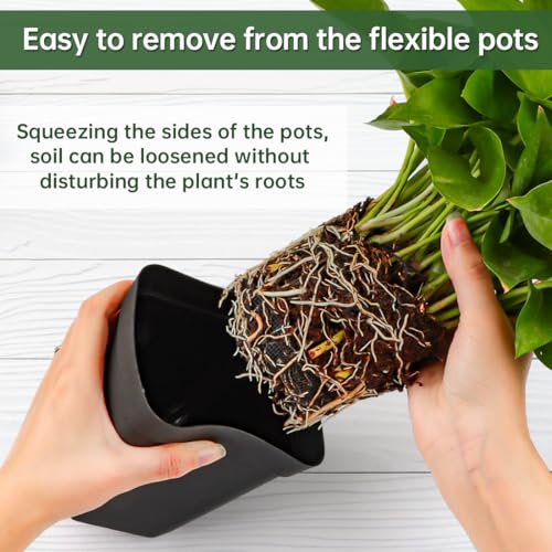 80 Pcs Nursery Pots 4 Inch, Plastic Seed Starting Pot with Drainage Holes, Sturdy Seedling pots for Planting, Succulents, Transplanting, Cuttings (Black) - color: Black, size: 4 Inch-80P