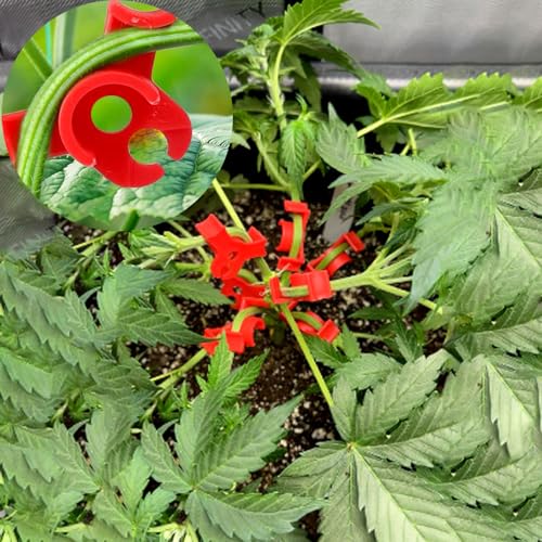40 Pcs Low Stress Training Clips, 90 Degrees Plant Trainer Bud Plant Bender Plant Training Clips Bud Bender for Plant Gardening - White and Red - color: 40 Pcs White and Red