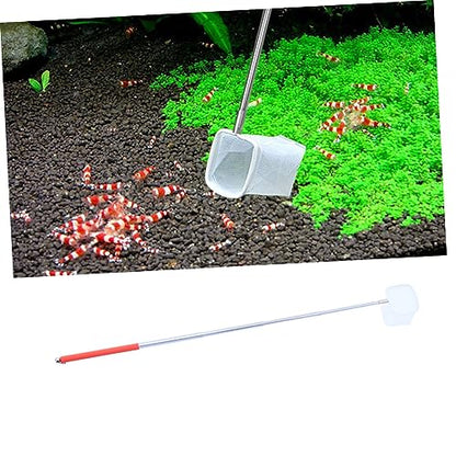 HEMOTON Telescopic Net Made for Aquariums Shrimp Net Fish Easy to Use Secure Attachment