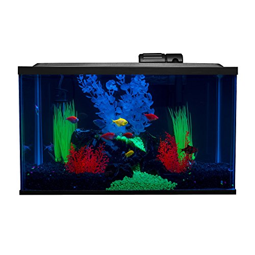 Glofish 10 Gallon Aquarium Fish Tank Kits, Includes LED Lighting and Décor (Amazon Exclusive) - size: 10-gallon kit