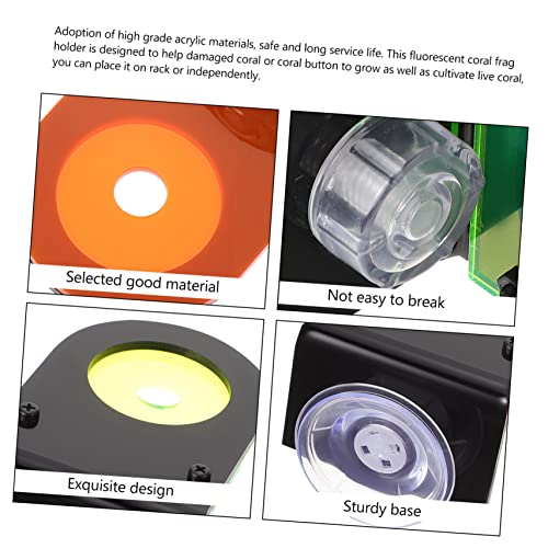 TOYANDONA 2 Pcs Fluorescent Acrylic Coral Breeding Bases for Aquarium Coral Holder Rack for Soft and Hard Cultivation Practical Fish Tank Support Brackets