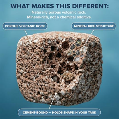 EcoBio-Block Aquarium Water Clarifier (Mini, 3–8 gal) | Volcanic Rock — Lasts Up to 2 Years — No Weekly Additives — Long-Term Water Balance — Safe for Fish, Shrimp, Frogs & Turtles - size: 1 Pack, style: Mini