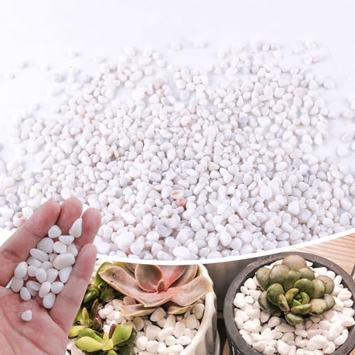 2.4lb 1/4" Small White Rocks for Plants,Potting,Succulents Aquarium Fish Tank Garden Vases Decorative Pebbles Gravel Rocks Stones - color: white, size: 2.4lb