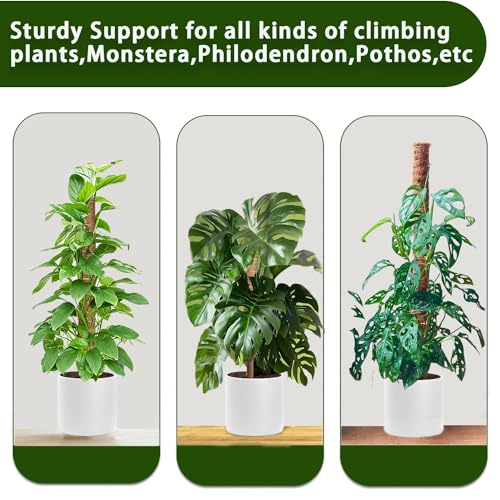 Moss Pole, 4 Pack 17Inch Monstera Plant Support for Climbing Plants Accessories Indoor -Stackable Moss Poles Plant Support Stakes -Coir Plant Pole Sticks for Potted Plants -Pothos, Tall Plant Trellis - size: 4pcs x 17 Inches