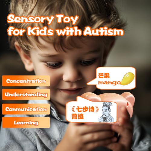 Bilingual Talking Flash Cards for Kids - Test Mode Chinese Poem - color: Chinese Poem